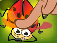 image Insect Crush