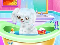 image My New Poodle Friend