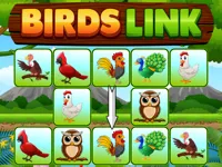 image Birds Link