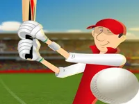 image stick cricket