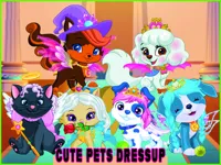 image Cute Pets Summer Dress Up