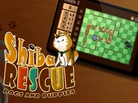 image Shiba Rescue : Dogs and Puppies