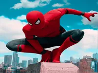 image sipderman skate